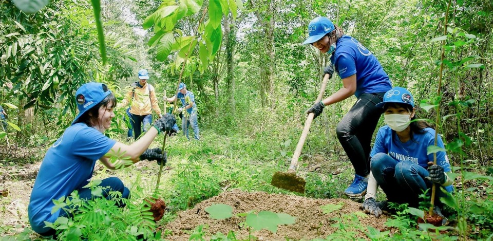 Nguồn lực x&atilde; hội ho&aacute; g&oacute;p phần ph&aacute;t triển h&agrave;ng chục ng&agrave;n h&eacute;c-ta rừng. Ảnh: GAIA Việt Nam.