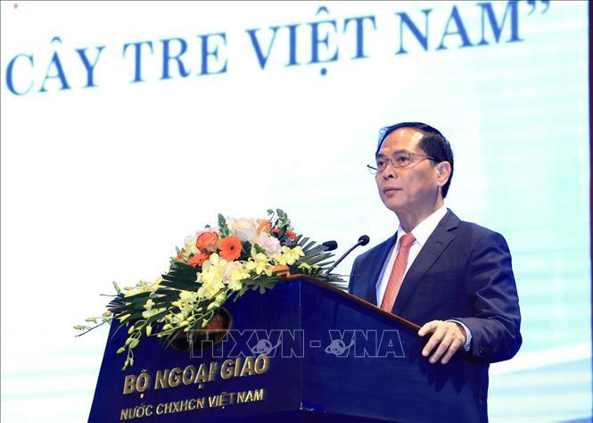 Bộ trưởng Bộ Ngoại giao B&ugrave;i Thanh Sơn ph&aacute;t biểu về nội dung cuốn s&aacute;ch. Ảnh: L&acirc;m Kh&aacute;nh/TTXVN