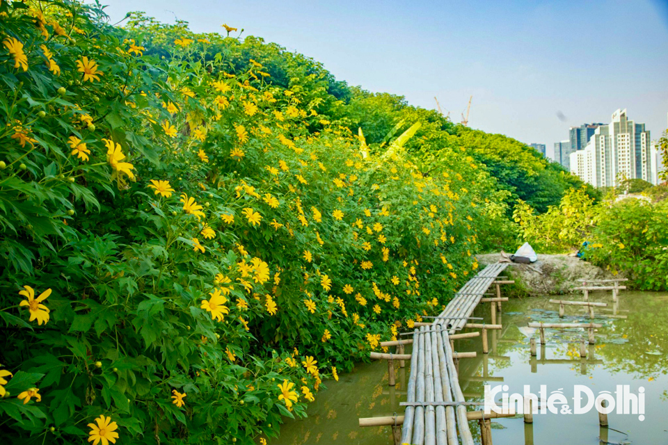 Thời tiết H&agrave; Nội h&ocirc;m nay (26/11) c&oacute; m&acirc;y, ng&agrave;y nắng.