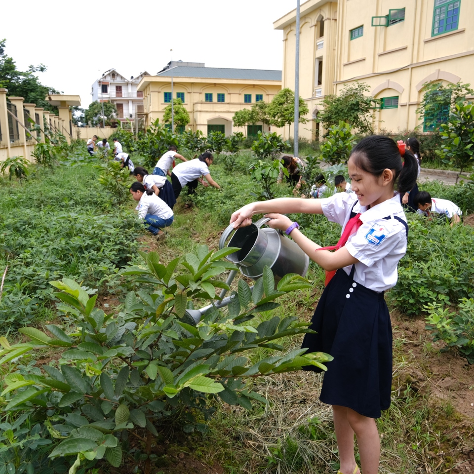 Học sinh tiểu học huyện S&oacute;c Sơn tham gia trồng c&acirc;y xanh bảo vệ m&ocirc;i trường. Ảnh: C&ocirc;ng H&ugrave;ng