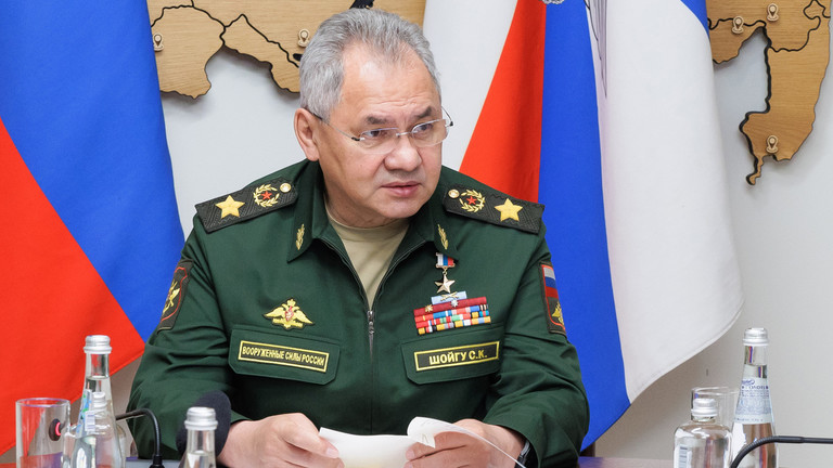 Bộ trưởng Quốc ph&ograve;ng Nga Sergey Shoigu. Ảnh: Sputnik