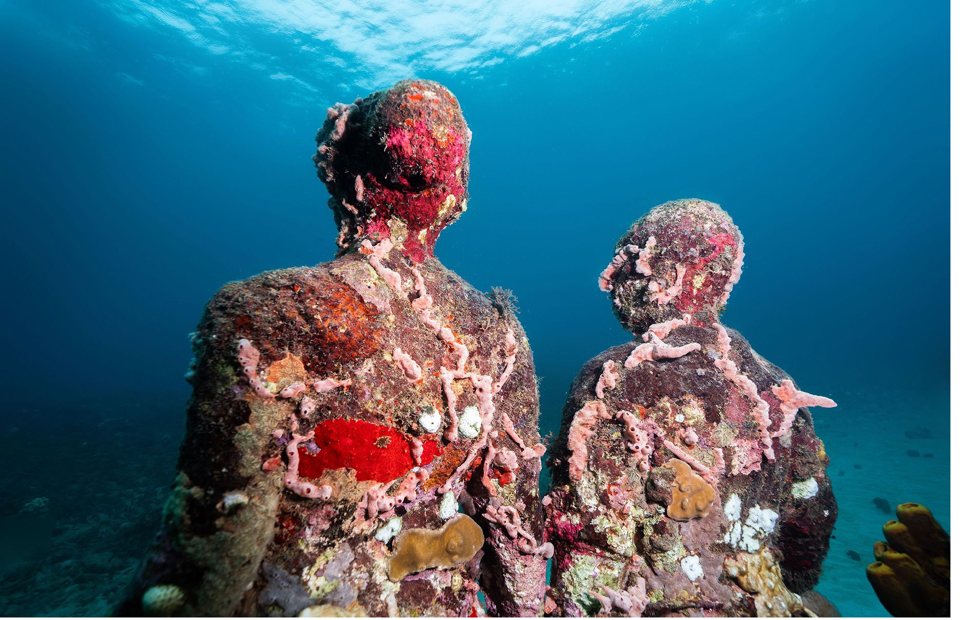 Những tượng đi&ecirc;u khắc l&agrave; nơi tr&uacute; ẩn cho nhiều sinh vật biển. Ảnh: CNN