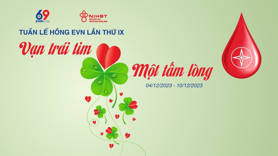 EVN tổ chức Tuần lễ hồng lần thứ IX sẻ chia với cộng đồng - Ảnh 1