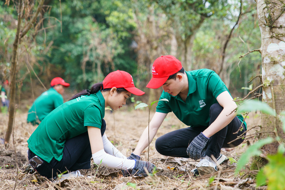 Trồng rừng chống biến đổi kh&iacute; hậu tại vườn quốc gia C&uacute;c Phương. Ảnh: L&ecirc; Mai