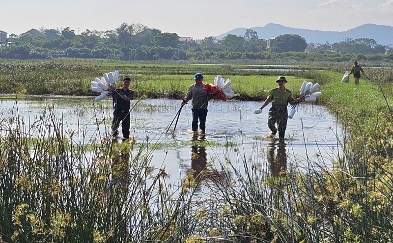 Lực lượng chức năng ở tỉnh H&agrave; Tĩnh tập trung ra qu&acirc;n th&aacute;o dỡ, ti&ecirc;u hủy c&aacute;c dụng cụ bẫy bắt chim tự nhi&ecirc;n trong m&ugrave;a mưa b&atilde;o