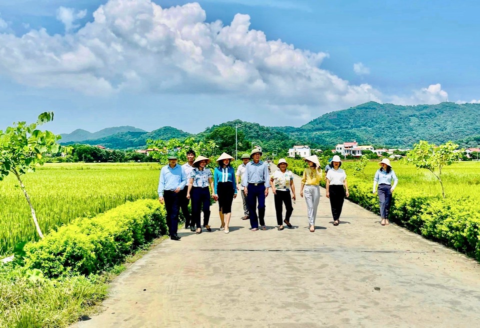 Đường giao th&ocirc;ng n&ocirc;ng th&ocirc;n xanh, sạch, đẹp tại x&atilde; Ph&ugrave; Linh (huyện S&oacute;c Sơn).