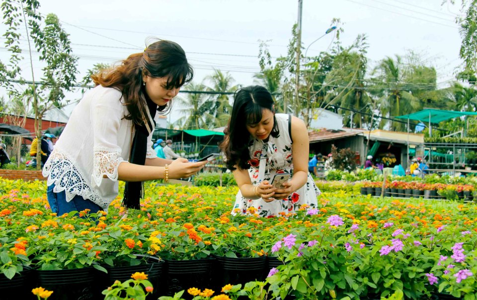 Những năm trở lại đ&acirc;y người d&acirc;n v&agrave; du kh&aacute;ch khắp nơi chọn L&agrave;ng hoa Sa Đ&eacute;c một trong những điểm đến trong chuyến h&agrave;nh tr&igrave;nh kh&aacute;m ph&aacute; miền T&acirc;y. (Ảnh Hữu Tuấn)