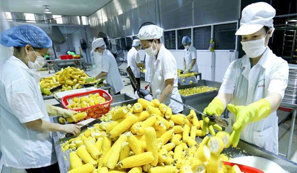 Trung Quốc l&agrave; đối t&aacute;c xuất khẩu n&ocirc;ng sản lớn nhất của Việt Nam.