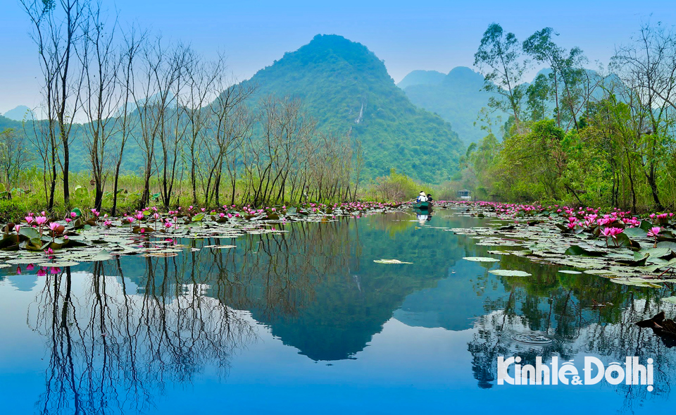 Với tiết trời man m&aacute;t, dễ chịu những ng&agrave;y th&aacute;ng 12, khung cảnh n&ecirc;n thơ hơn. Đ&acirc;y cũng l&agrave; thời điểm thu h&uacute;t du kh&aacute;ch đến chụp ảnh nhiều nhất. &nbsp;Du kh&aacute;ch c&oacute; thể đến để cảm nhận sự dịu d&agrave;ng của d&ograve;ng suối Yến m&ugrave;a hoa s&uacute;ng t&iacute;m, cảm nhận trời đất, m&acirc;y n&uacute;i giao ho&agrave; như một bức tranh thuỷ mặc đẹp đến nao l&ograve;ng m&agrave; thi&ecirc;n nhi&ecirc;n h&agrave;o ph&oacute;ng ban tặng cho kh&ocirc;ng gian nơi đ&acirc;y.