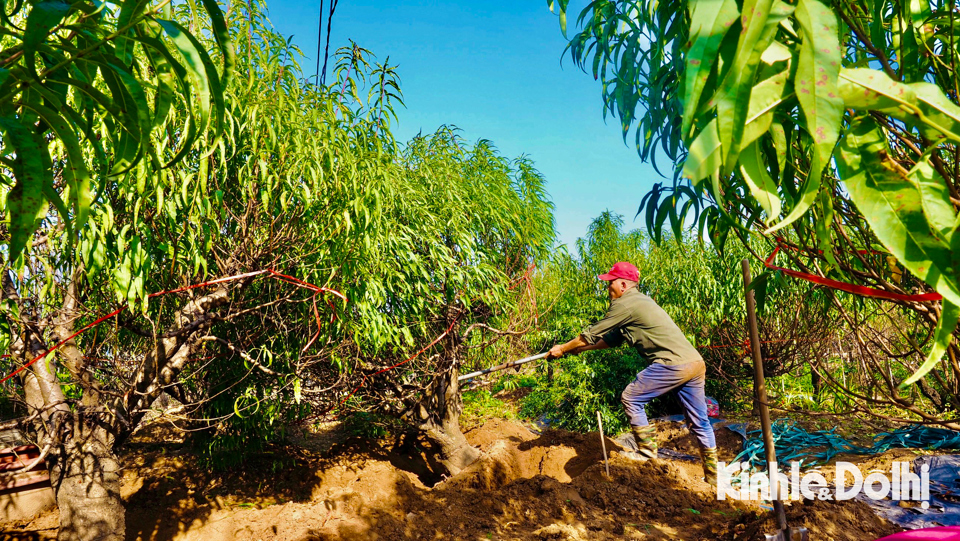 Tranh thủ khối lượng công việc lớn tại đây, mỗi người có thể kiếm được tiền triệu mỗi ngày.