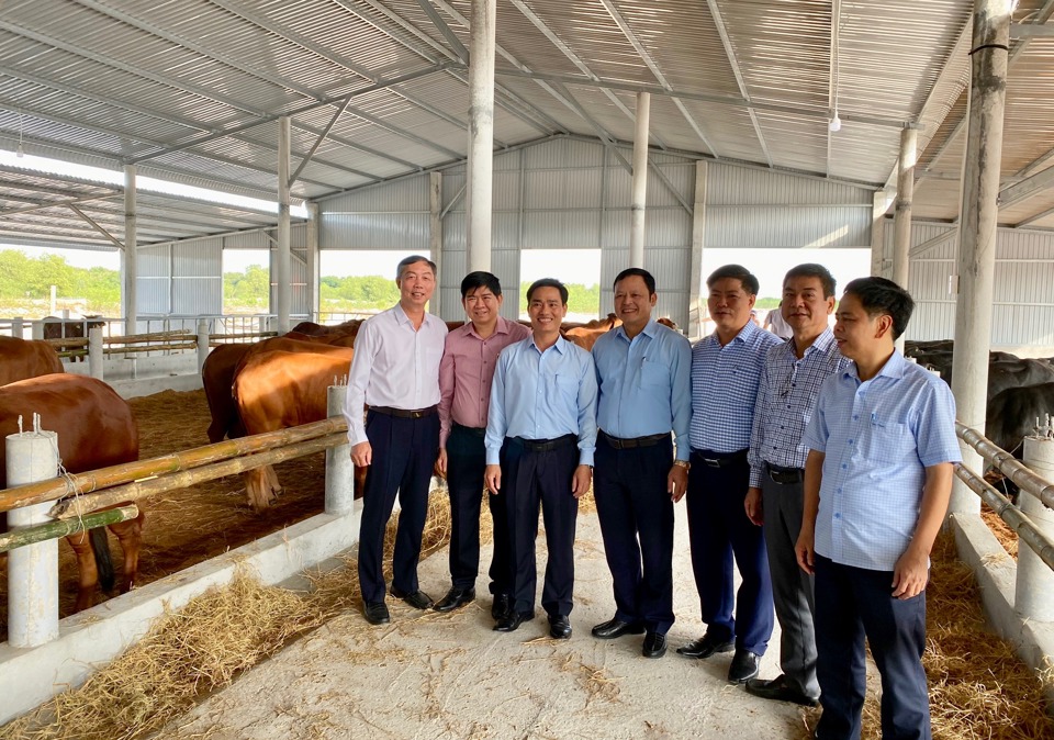 Hà Nội trao tặng 100 con bò giống chất lượng cao cho tỉnh Quảng Trị. Ảnh: Lâm Nguyễn