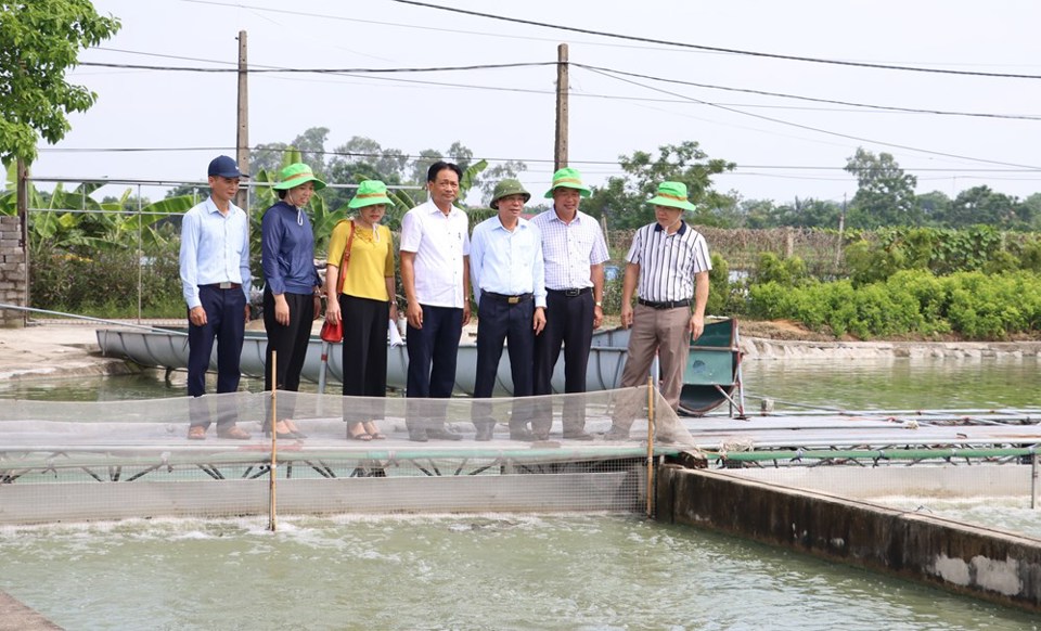 L&atilde;nh đạo Trung t&acirc;m Khuyến n&ocirc;ng H&agrave; Nội kiểm tra m&ocirc; h&igrave;nh khuyến n&ocirc;ng tại huyện Ứng H&ograve;a. Ảnh: Ngọc &Aacute;nh