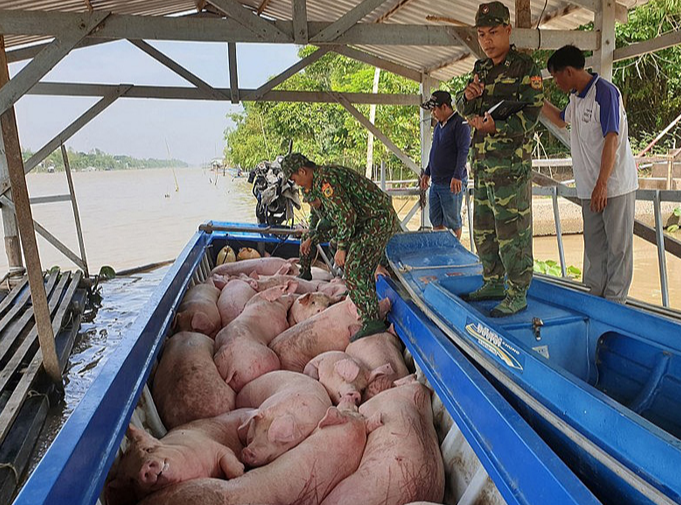 Gi&aacute; heo hơi h&ocirc;m nay 29/12/2023: Đồng loạt đi ngang. Ảnh minh họa.