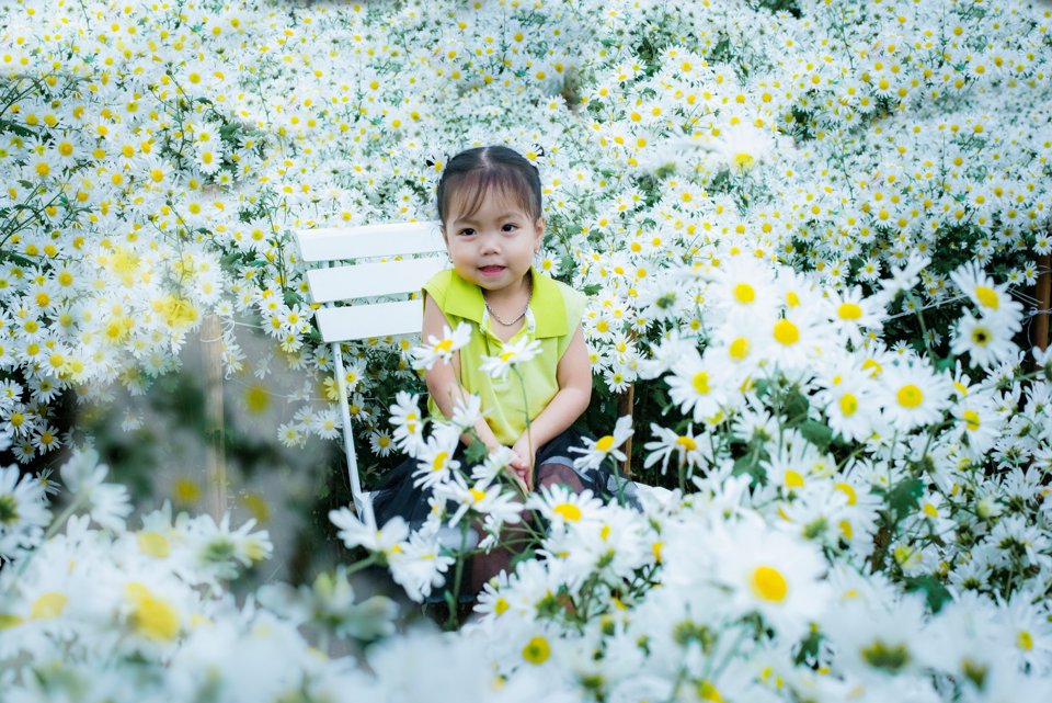 Đ&acirc;y l&agrave; lần đầu ti&ecirc;n, tại tỉnh miền Trung n&agrave;y c&oacute; vườn c&uacute;c họa mi nở rộ, tạo th&agrave;nh một g&oacute;c nhỏ giống với H&agrave; Nội.