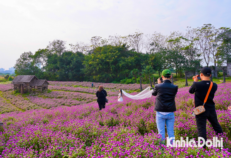 Thời điểm th&iacute;ch hợp nhất để c&oacute; những bức ảnh đẹp với c&uacute;c b&aacute;ch nhật thường v&agrave;o s&aacute;ng sớm khi &aacute;nh nắng xi&ecirc;n nhẹ, hoặc cuối chiều khi trời chuyển m&agrave;u ho&agrave;ng h&ocirc;n.