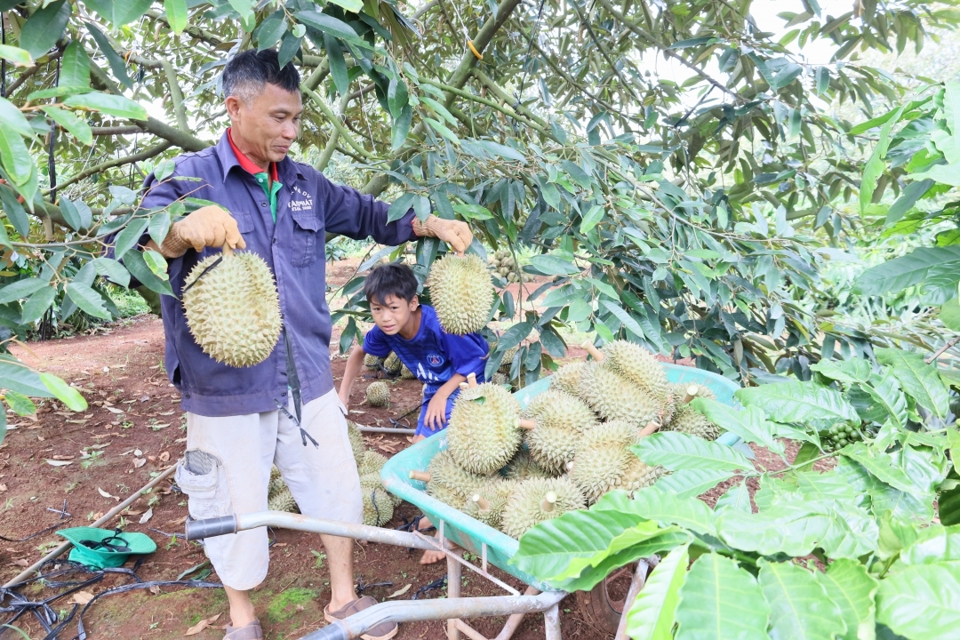 Hiệu quả thực hiện c&ocirc;ng t&aacute;c d&acirc;n tộc gi&uacute;p đồng b&agrave;o từng bước tho&aacute;t ngh&egrave;o.