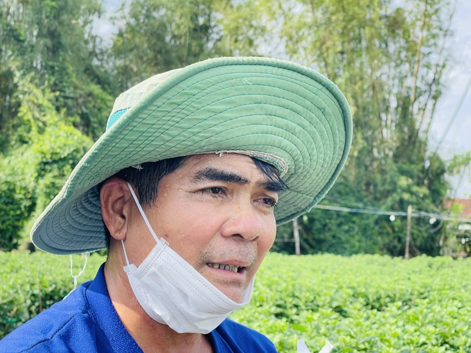 "Vụ Tết n&agrave;y t&ocirc;i trồng hơn 1.000 chậu c&uacute;c. Thời tiết hay c&oacute; mưa dầm n&ecirc;n phải chủ động phun thuốc chống nấm v&agrave; gi&uacute;p l&aacute; xanh tươi. Phần lớn hoa trong vườn cũng đ&atilde; được đặt mua", &ocirc;ng Ph&aacute;t cho hay.&nbsp;Ảnh: H&agrave; Phương