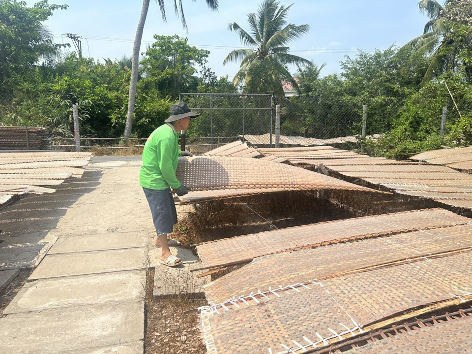 Cần Thơ: Hối hả chuẩn bị đặc sản cho Tết Nguyên đán - Ảnh 1