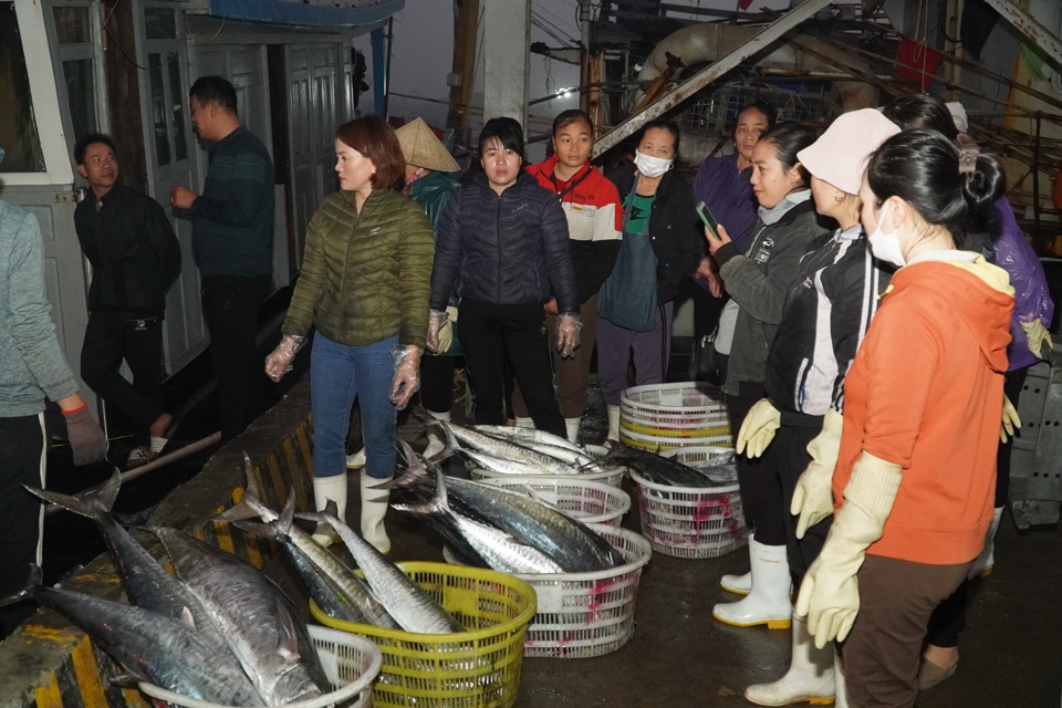 Thương l&aacute;i tranh nhau mua h&agrave;ng từ c&aacute;c t&agrave;u c&aacute;, gi&aacute; cả cao m&agrave; lại rất đắt h&agrave;ng, mang lại thu nhập lớn dịp cận Tết Nguy&ecirc;n đ&aacute;n cho nhiều người lao động, chủ t&agrave;u.