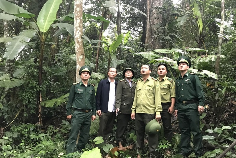 Vườn Quốc gia Vũ Quang phối hợp với lực lượng Bộ đội Bi&ecirc;n ph&ograve;ng v&agrave; c&aacute;c cơ quan chức năng tuần tra, bảo vệ rừng đặc dụng&nbsp;
