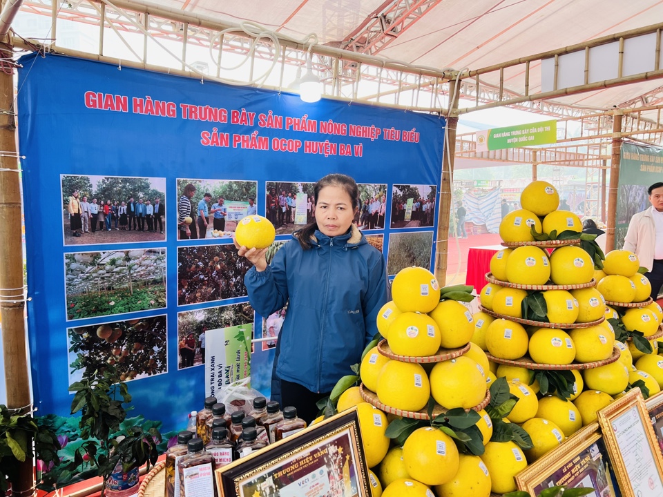 Bưởi Diễn được quảng b&aacute;, trưng b&agrave;y tại Lễ hội n&ocirc;ng sản TP H&agrave; Nội năm 2023. Ảnh: &Aacute;nh Ngọc