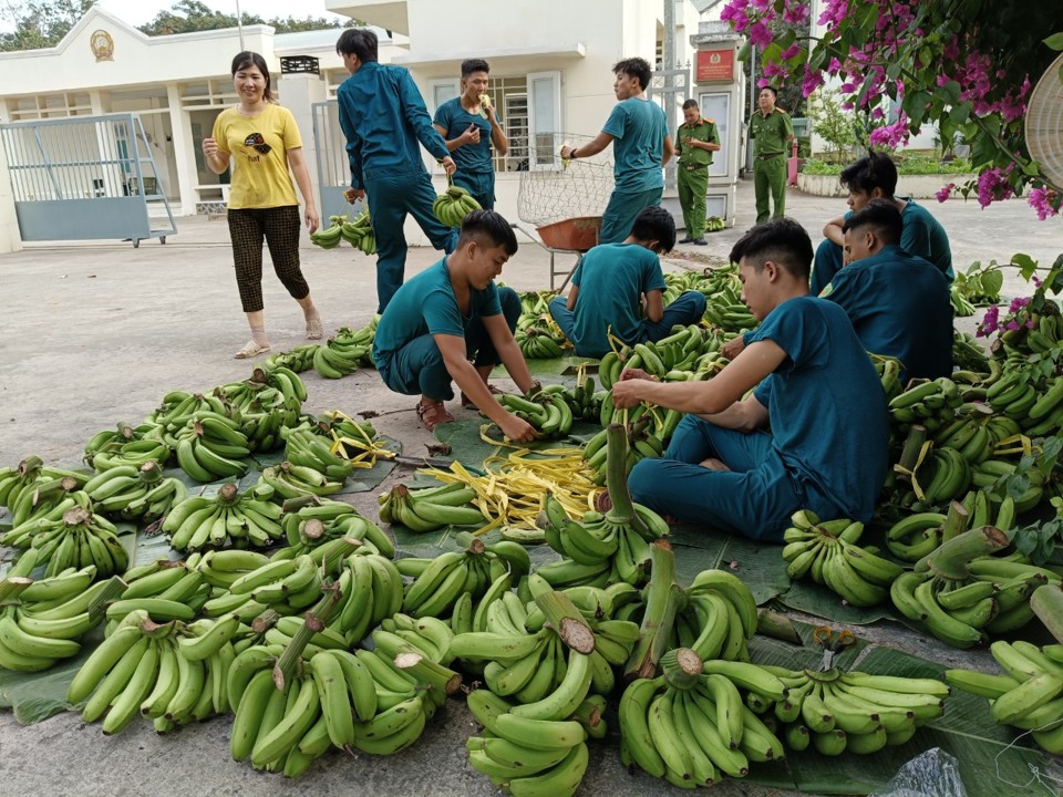 Lực lượng Trung đội d&acirc;n qu&acirc;n thường trực t&iacute;ch cực ph&acirc;n phối chuối cho c&ocirc;ng nh&acirc;n lao động tại khu vực phường Tam Phước.