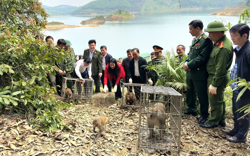 Vườn Quốc gia Vũ Quang t&aacute;i thả động vật rừng về m&ocirc;i trường tự nhi&ecirc;n