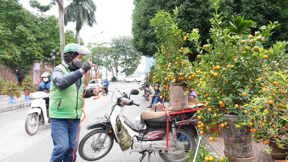 Năm nay, tr&ecirc;n địa b&agrave;n quận T&acirc;y Hồ c&oacute; 9 điểm chợ hoa Xu&acirc;n.