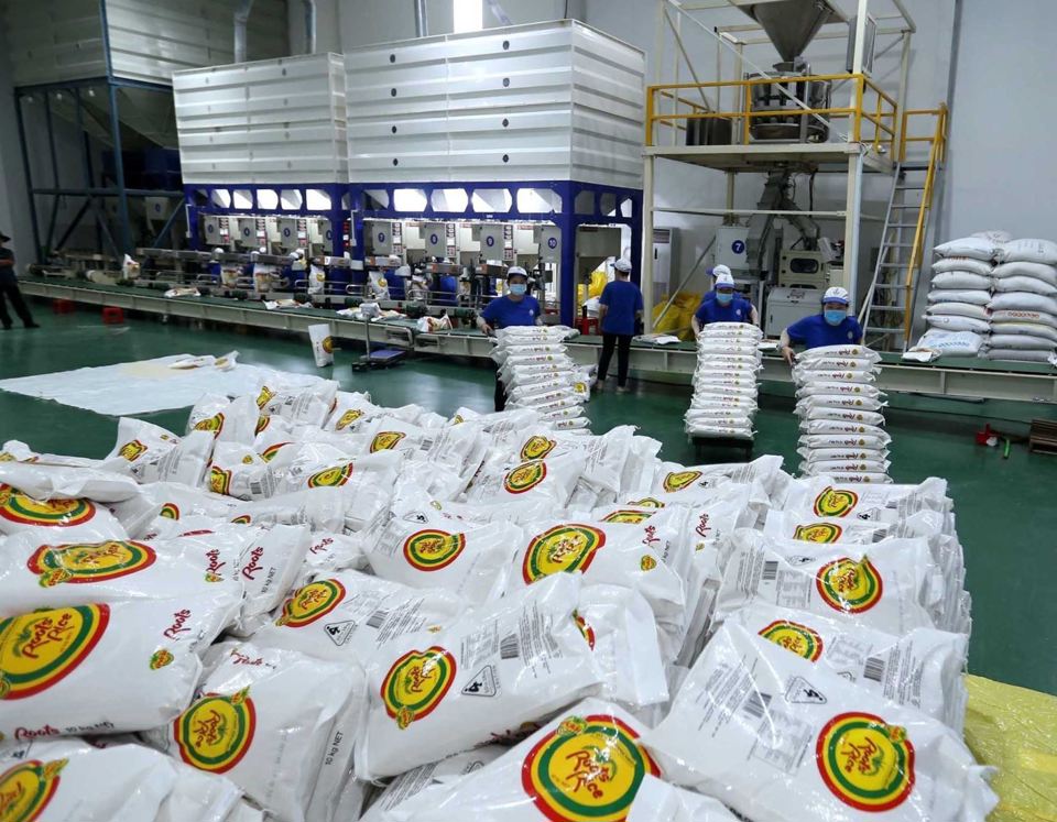 Năm 2024, Việt Nam dự kiến xuất khẩu tr&ecirc;n 8 triệu tấn gạo. Ảnh minh họa&nbsp;