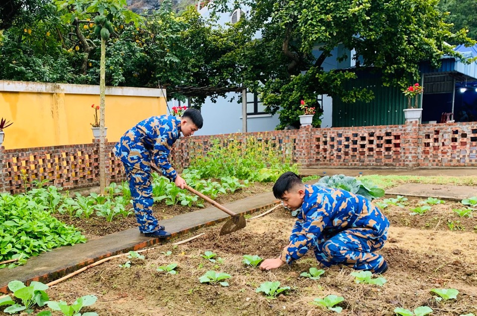 Để thực phẩm những ng&agrave;y Tết đủ đầy, tươm tất, hằng ng&agrave;y, c&aacute;n bộ, chiến sĩ thay nhau chăm s&oacute;c c&aacute;c vườn rau tươi tốt