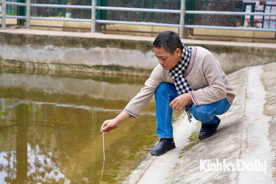 Vườn thú Hà Nội: Chế độ chăm sóc đặc biệt với động vật trong giá rét - Ảnh 1