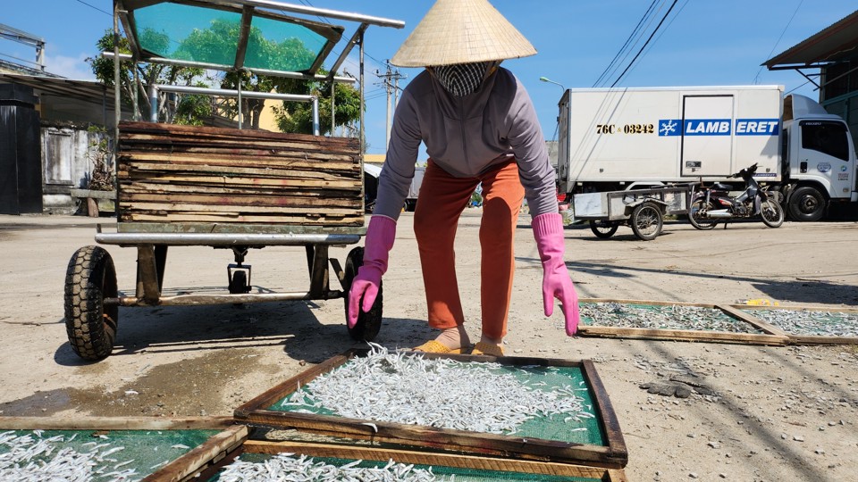 Nghề chế biến c&aacute; cơm kh&ocirc; cũng g&oacute;p phần giải quyết việc l&agrave;m cho h&agrave;ng trăm lao động tại địa phương, chủ yếu l&agrave; phụ nữ, người lớn tuổi. Ảnh: H&agrave; Phương