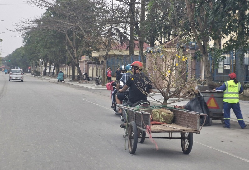 Dọc c&aacute;c tuyến phố ở TP H&agrave; Tĩnh thỉnh thoảng mới bắt gặp một số người vận chuyển hoa mai đến với gia chủ