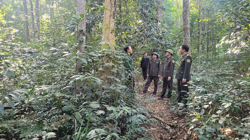 Lực lượng kiểm l&acirc;m huyện Hương Sơn tuần tra, bảo vệ rừng đầu nguồn tại tiểu khu 51 thuộc địa b&agrave;n x&atilde; bi&ecirc;n giới Sơn Kim 1