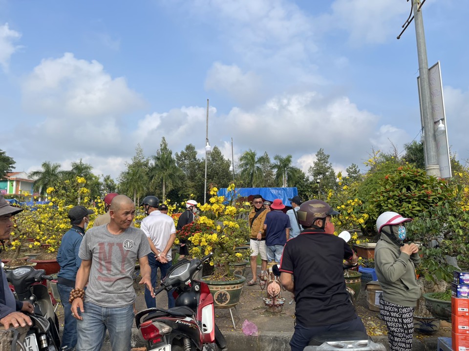 Khu vực b&aacute;n mai rất đ&ocirc;ng người, nhưng số người đi ngắm nhiều hơn mua.&nbsp;Ảnh: H&agrave; Phương