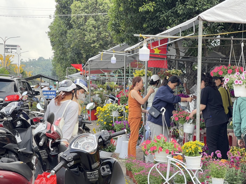 Trong khi đ&oacute;, c&aacute;c quầy b&aacute;n hoa treo giỏ lại c&oacute; lượng kh&aacute;ch kh&aacute; đ&ocirc;ng v&igrave; gi&aacute; mềm, k&iacute;ch thước nhỏ gọn, dễ vận chuyển.&nbsp;Ảnh: H&agrave; Phương