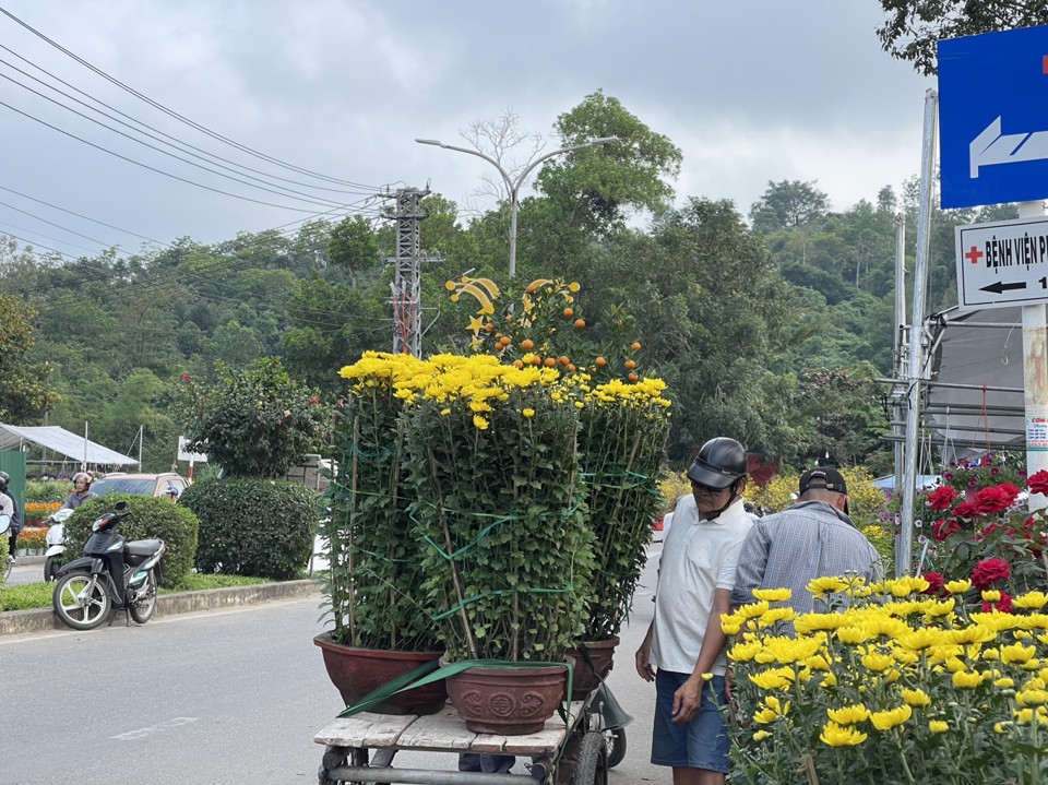 Suy tho&aacute;i kinh tế vẫn được cho l&agrave; nguy&ecirc;n nh&acirc;n ch&iacute;nh dẫn đến t&igrave;nh trạng người d&acirc;n c&acirc;n nhắc hơn khi mua hoa về chỉ d&ugrave;ng để trưng trong v&agrave;i ng&agrave;y Tết.&nbsp;Ảnh: H&agrave; Phương