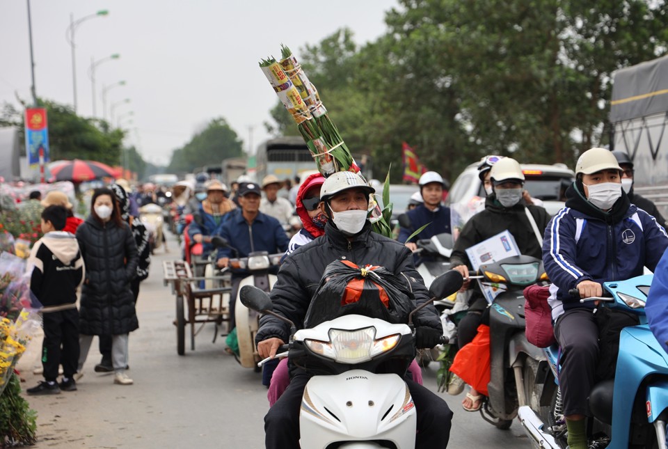 29 Tết, hoa tươi, trái cây đồng loạt tăng giá - Ảnh 2