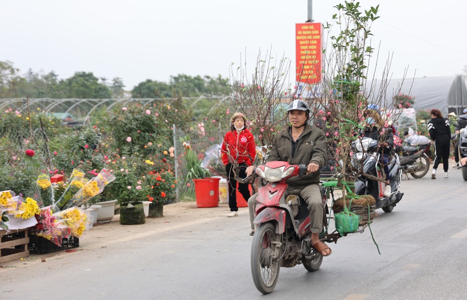 29 Tết, hoa tươi, trái cây đồng loạt tăng giá - Ảnh 10