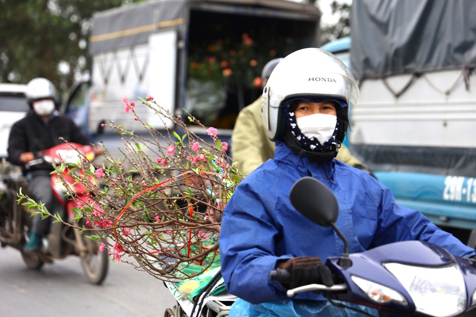 29 Tết, hoa tươi, trái cây đồng loạt tăng giá - Ảnh 11