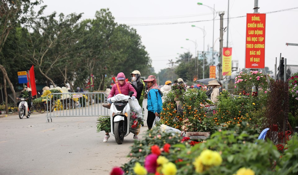 29 Tết, hoa tươi, trái cây đồng loạt tăng giá - Ảnh 3