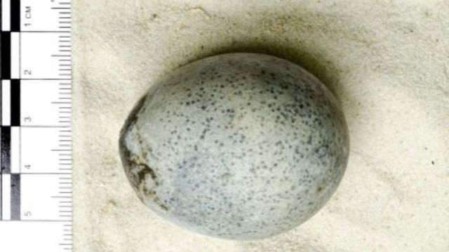 Những h&igrave;nh ảnh qu&eacute;t gần đ&acirc;y về quả trứng g&agrave; 1.700 năm tuổi cho thấy n&oacute; vẫn chứa chất lỏng v&agrave; bọt kh&iacute;. Ảnh: Oxford Archaeology &nbsp;