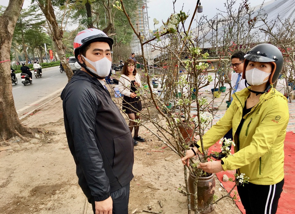 So với hoa đ&agrave;o, hoa l&ecirc; c&oacute; gi&aacute; tương đương. Đối với nhiều c&agrave;nh/gốc l&ecirc; to, đẹp v&agrave; nhiều nụ, gi&aacute; mỗi gốc/c&agrave;nh c&oacute; thể l&ecirc;n tới cả chục triệu đồng. Trong khi phần lớn c&aacute;c c&agrave;nh l&ecirc; nhỏ c&oacute; gi&aacute; từ 100.000 - 500.000 đồng.