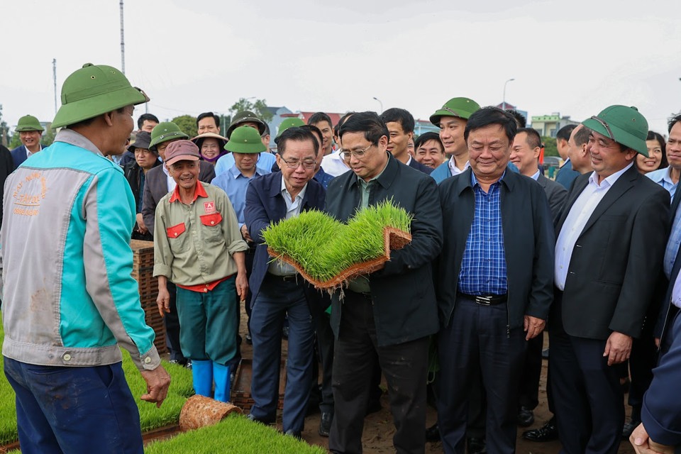 Thủ tướng thăm khu vực sản xuất mạ khay v&agrave; c&aacute;nh đồng gieo sạ bằng m&aacute;y - Ảnh: VGP/Nhật Bắc