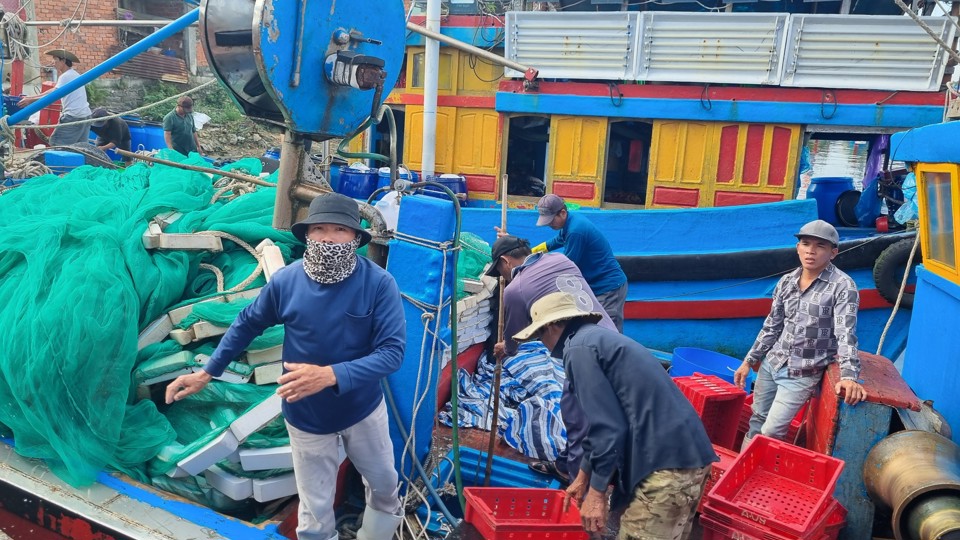 X&atilde; Tịnh Kỳ (TP Quảng Ng&atilde;i) v&agrave; huyện L&yacute; Sơn l&agrave; nơi tập trung nhiều t&agrave;u đ&aacute;nh bắt c&aacute; cơm nhất Quảng Ng&atilde;i.