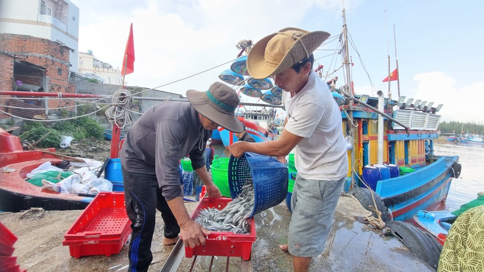 T&agrave;u c&aacute; vừa cập bến l&agrave; thương l&aacute;i đ&atilde; sẵn s&agrave;ng để nhập h&agrave;ng.