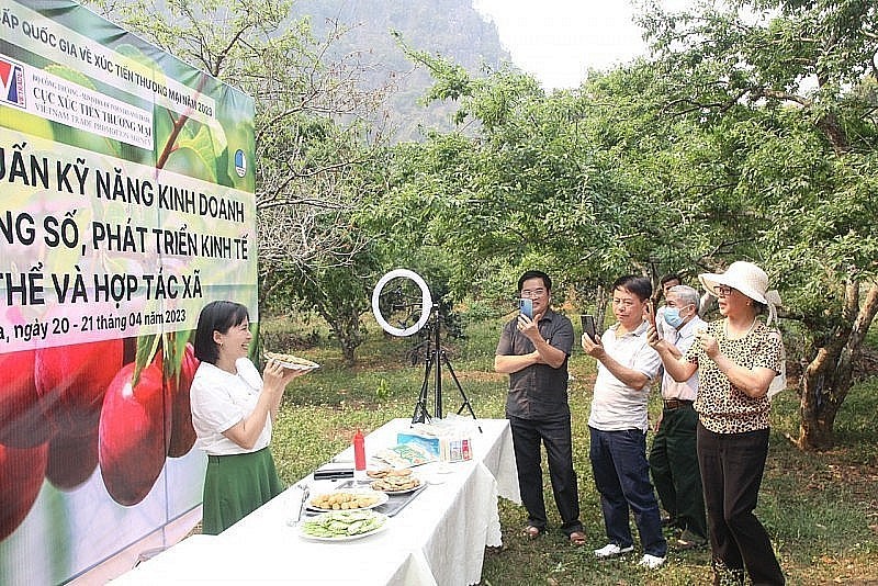 Chương tr&igrave;nh đ&agrave;o tạo tập huấn tr&ecirc;n nền tảng số (livestream) tại c&aacute;c khu vực sản xuất, c&aacute;c v&ugrave;ng trồng đối với mặt h&agrave;ng n&ocirc;ng sản.