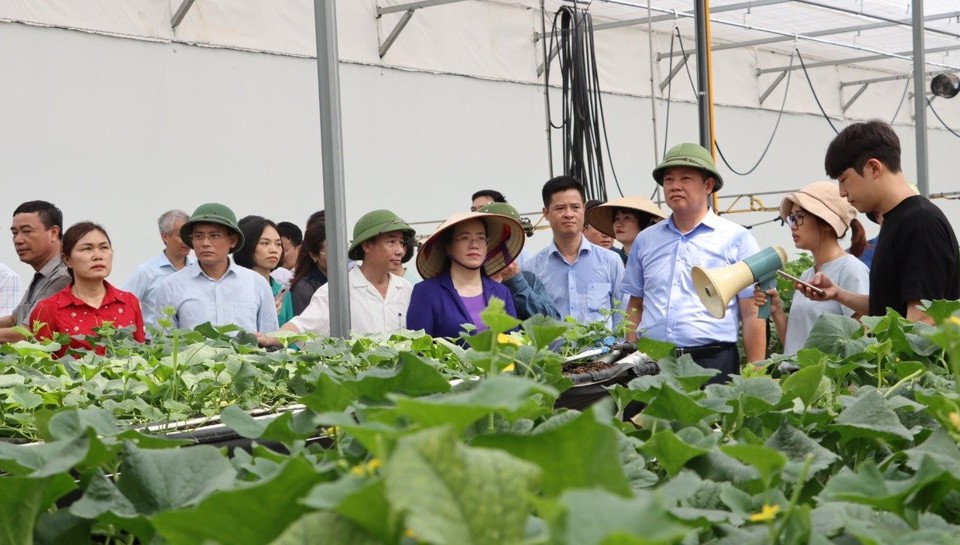 Đo&agrave;n đại biểu th&agrave;nh phố H&agrave; Nội tham quan m&ocirc; h&igrave;nh n&ocirc;ng nghiệp ứng dụng c&ocirc;ng nghệ cao tại Viện Khoa học N&ocirc;ng nghiệp Việt Nam năm 2023.