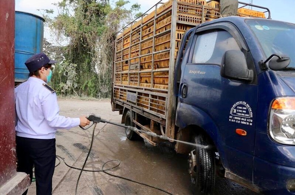 Khử tr&ugrave;ng phương tiện vận chuyển gia cầm ra v&agrave;o chợ H&agrave; Vỹ (TP H&agrave; Nội).