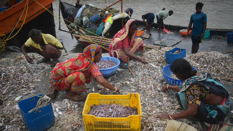 H&agrave;ng triệu ngư d&acirc;n Ấn Độ hiện đang đối mặt với thu nhập bấp b&ecirc;nh. Ảnh: RT